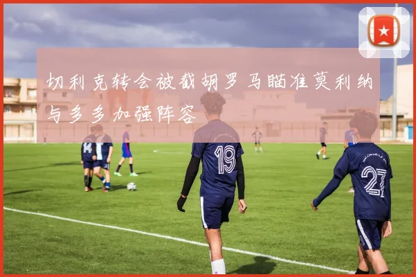 切利克转会被截胡罗马瞄准莫利纳与多多加强阵容
